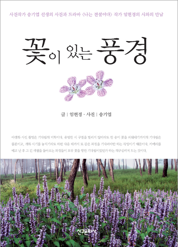 꽃이 있는 풍경