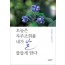 오늘은 자주조희풀 네가 날 물들게 한다