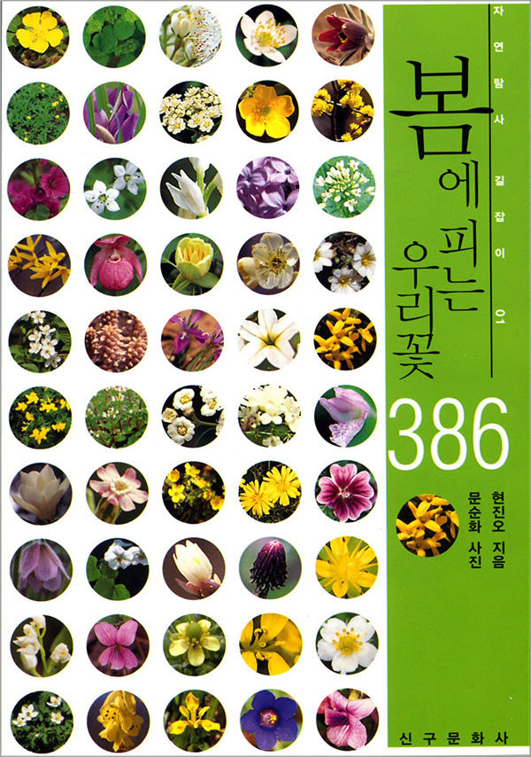 봄에 피는 우리꽃 386