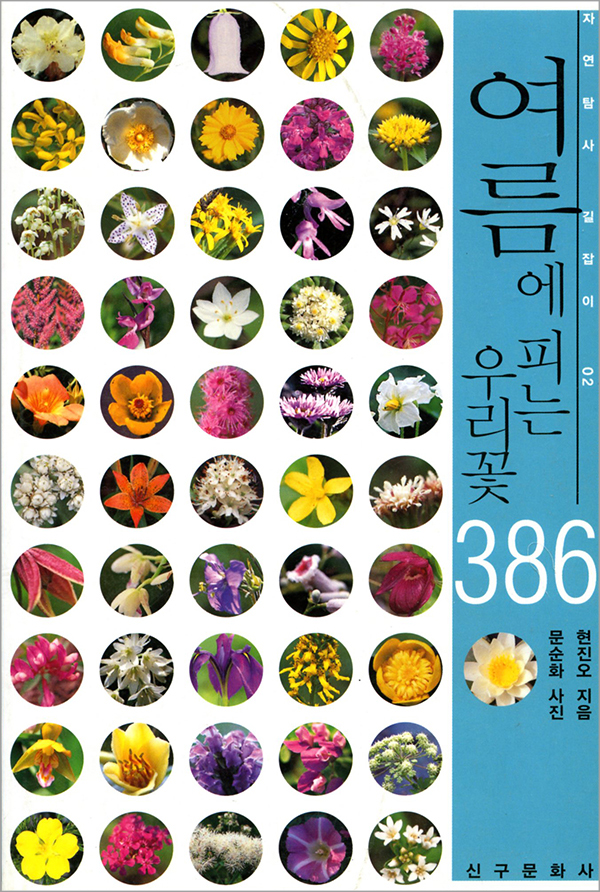 여름에 피는 우리꽃 386