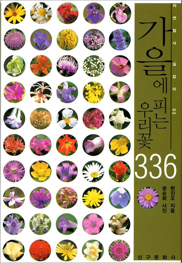 가을에 피는 우리꽃 336
