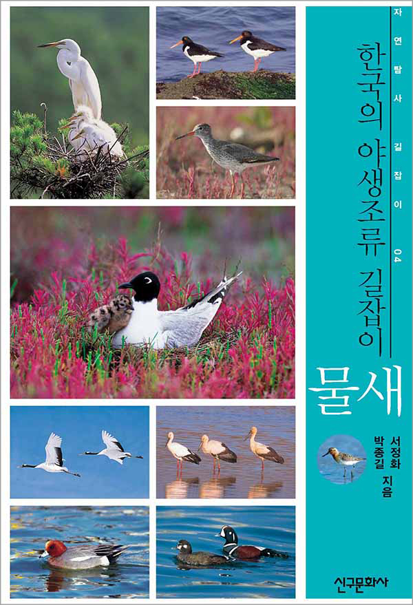 한국의 야생조류 길잡이 물새