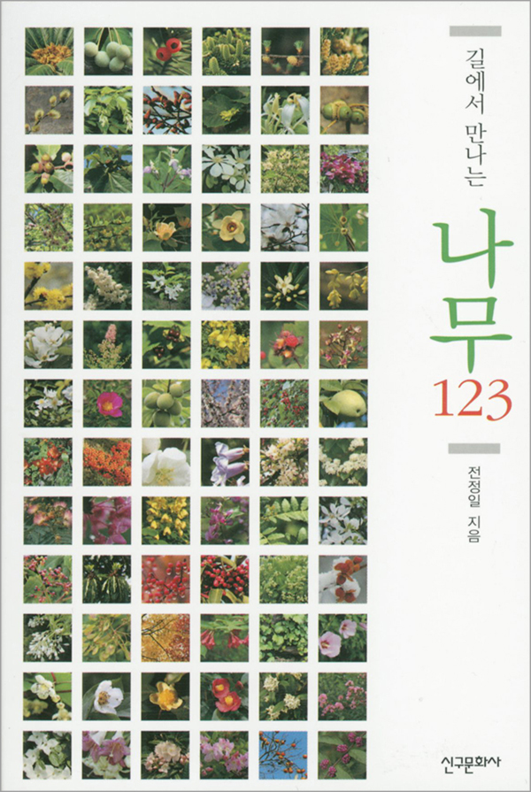 길에서 만나는 나무 123