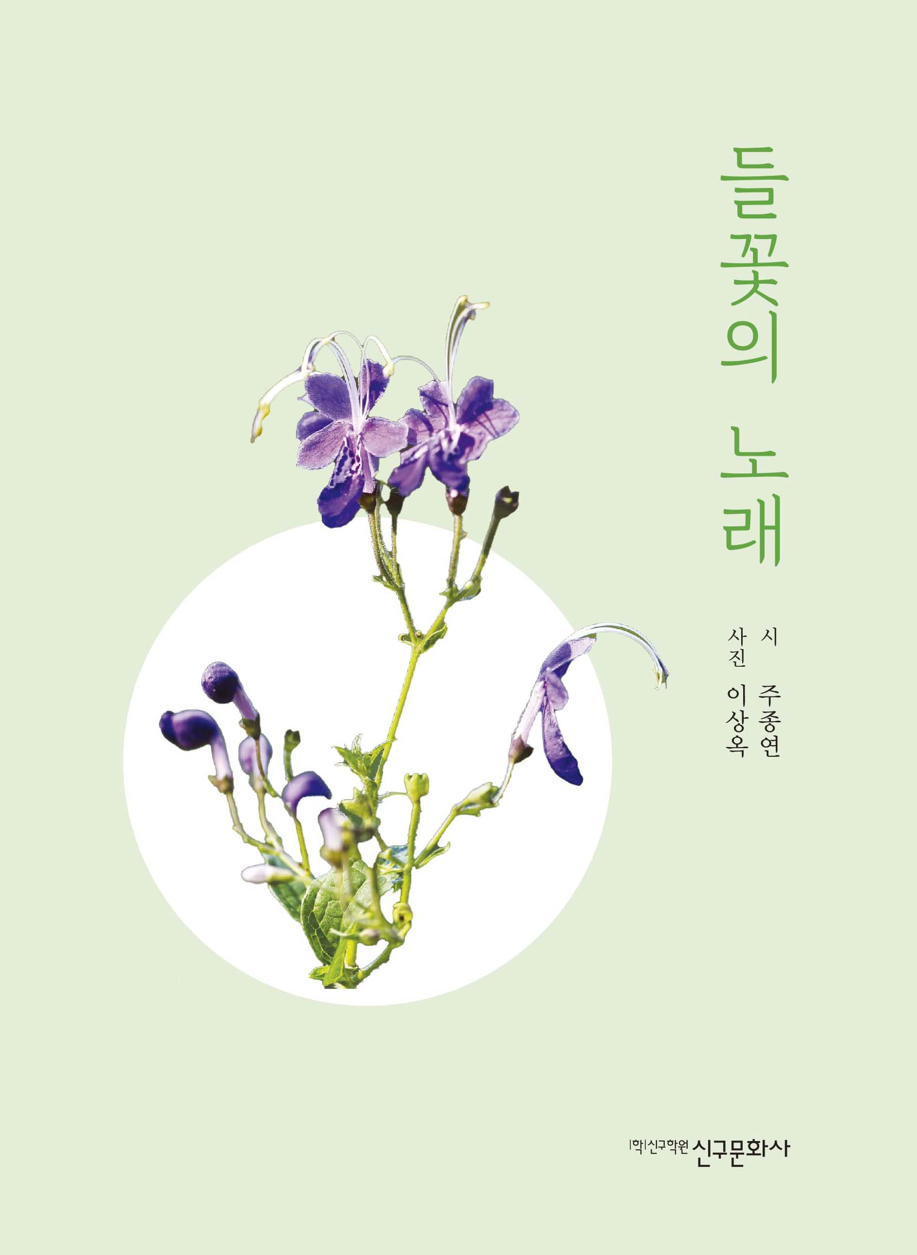 들꽃의 노래